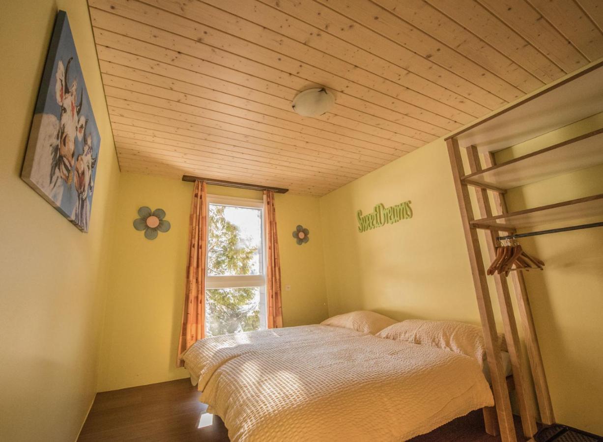 Хостел Schutzenbach Backpackers For Adults 18-35 Лаутербруннен Экстерьер фото
